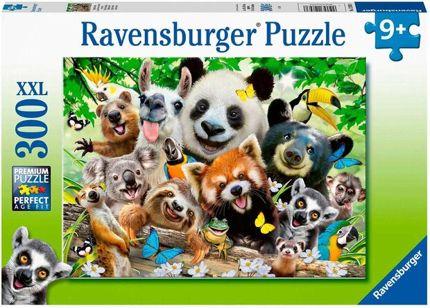 Ravensburger Perfect Age Fit.